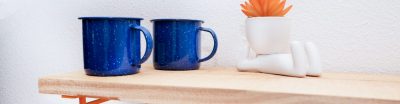 Two coffee mugs with plant on shelf